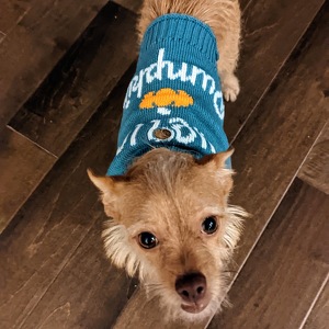 Maria Elena DiPietro